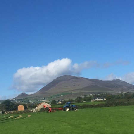 Villa Willowtree Glamping Mournes Annalong Exterior foto
