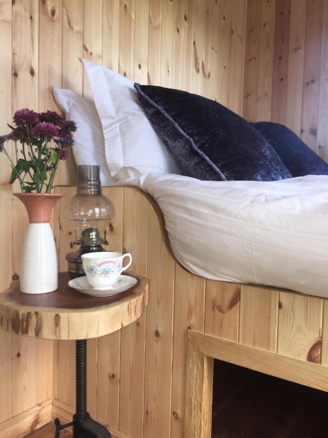 Villa Willowtree Glamping Mournes Annalong Exterior foto