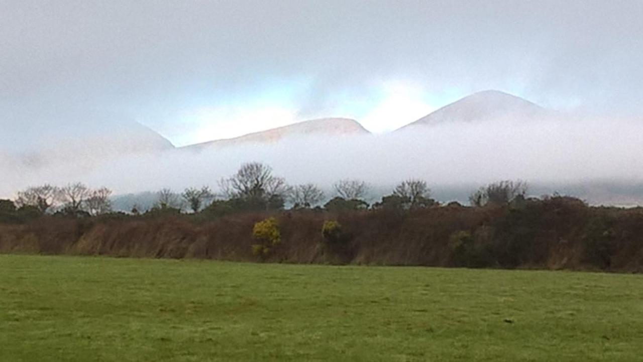 Villa Willowtree Glamping Mournes Annalong Exterior foto