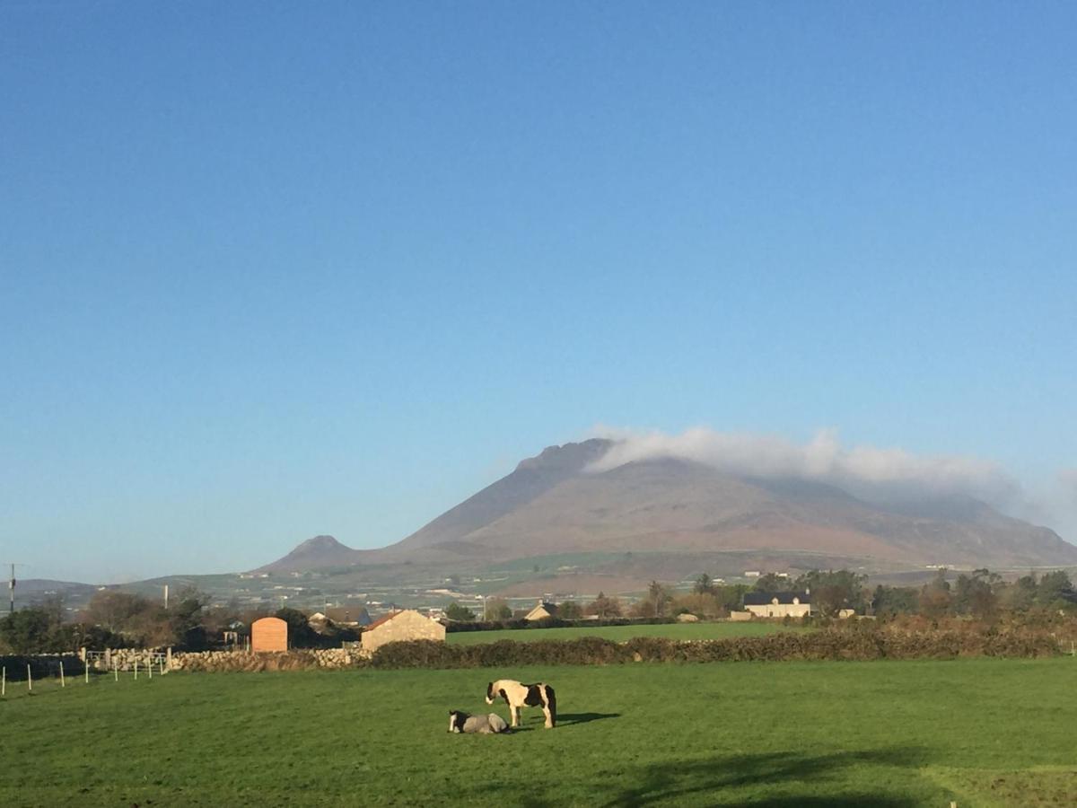 Villa Willowtree Glamping Mournes Annalong Exterior foto